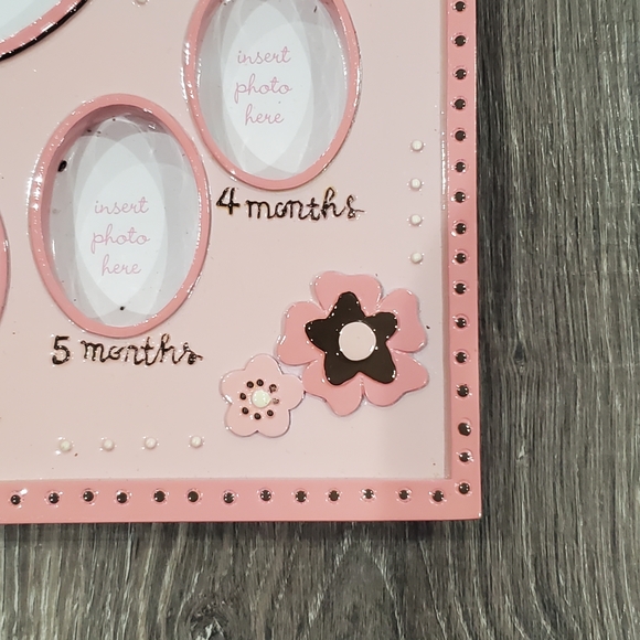Pink Baby's First Year Photo Frame with Bird Accents - Picture 3 of 10